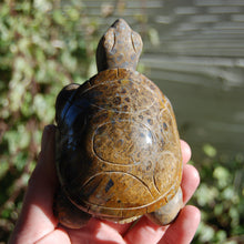 Load image into Gallery viewer, Carved Fossil Coral Crystal Turtle
