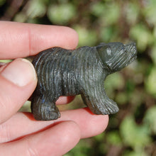 Load image into Gallery viewer, Labradorite Carved Crystal Bear Totems
