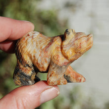 Load image into Gallery viewer, Crazy Lace Agate Carved Crystal Bear Totems
