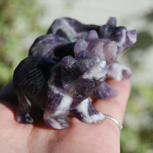 Chevron Dream Amethyst Carved Crystal Bear