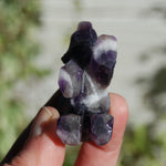 Chevron Dream Amethyst Carved Crystal Bear