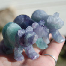 Load image into Gallery viewer, Rainbow Blue Fluorite Carved Crystal Bear
