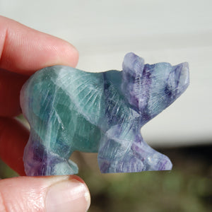 Rainbow Blue Fluorite Carved Crystal Bear