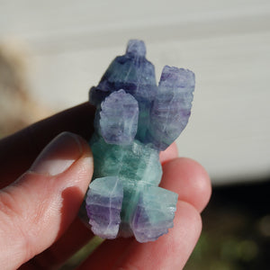 Rainbow Blue Fluorite Carved Crystal Bear