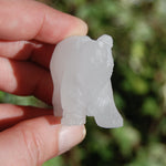 Rock Clear Quartz Carved Crystal Bear