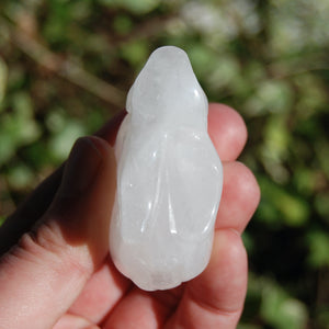 "Clear" Rock Quartz Carved Crystal Rabbit
