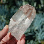 Scarlet Temple Lemurian Seed Quartz Crystal Chisel Dreamsicle Starbrary