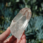 Scarlet Temple Lemurian Seed Quartz Crystal Chisel Dreamsicle Starbrary