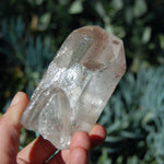 Scarlet Temple Lemurian Seed Quartz Crystal Chisel Dreamsicle Starbrary
