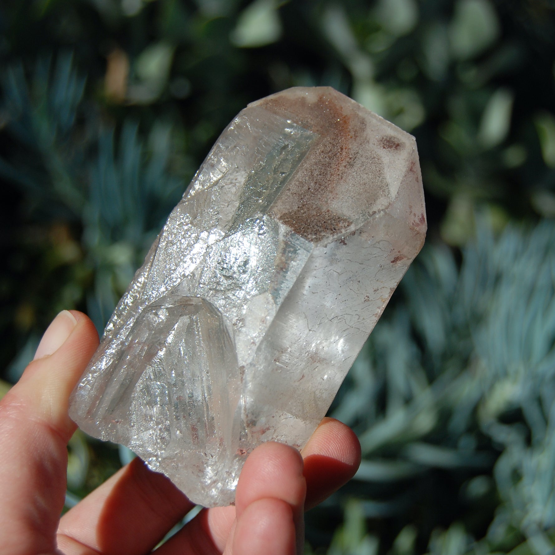 Scarlet Temple Lemurian Seed Quartz Crystal Chisel Dreamsicle Starbrary