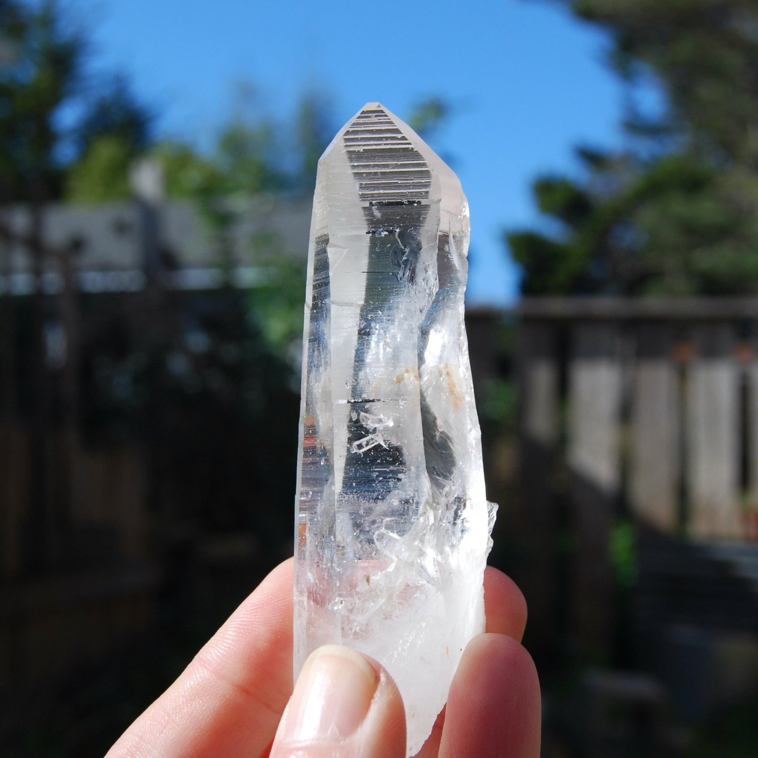 Colombian Lemurian Seed Quartz Crystal Laser