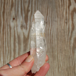 Colombian Lemurian Seed Quartz Crystal Laser