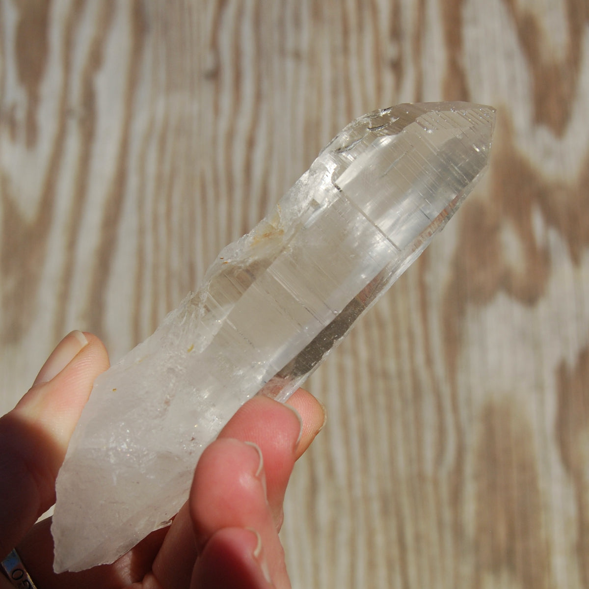 Colombian Lemurian Seed Quartz Crystal Laser
