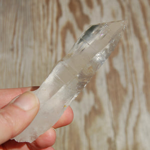 Colombian Lemurian Seed Quartz Crystal Laser