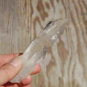 Colombian Lemurian Seed Quartz Crystal Laser