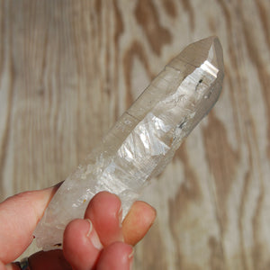 Colombian Lemurian Seed Quartz Crystal Laser