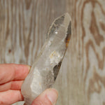 Colombian Lemurian Seed Quartz Crystal Laser