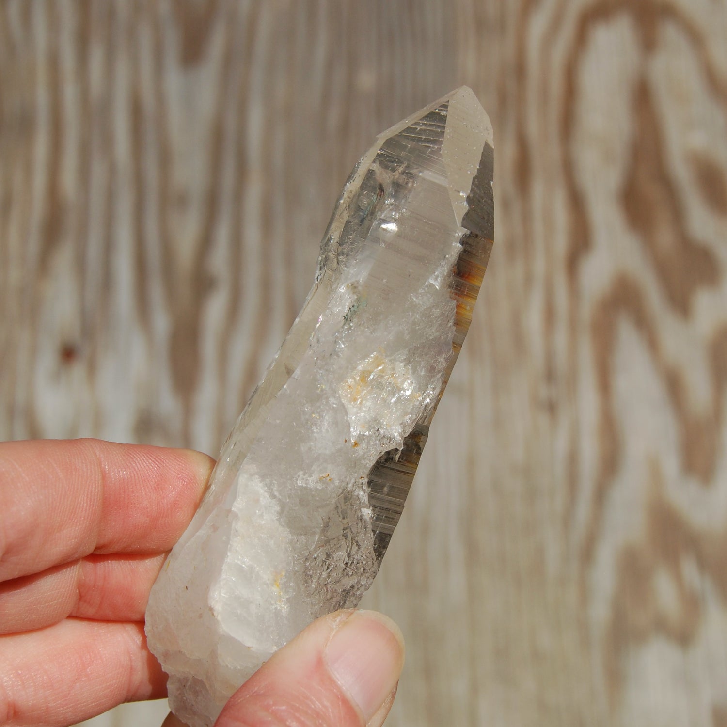 Colombian Lemurian Seed Quartz Crystal Laser