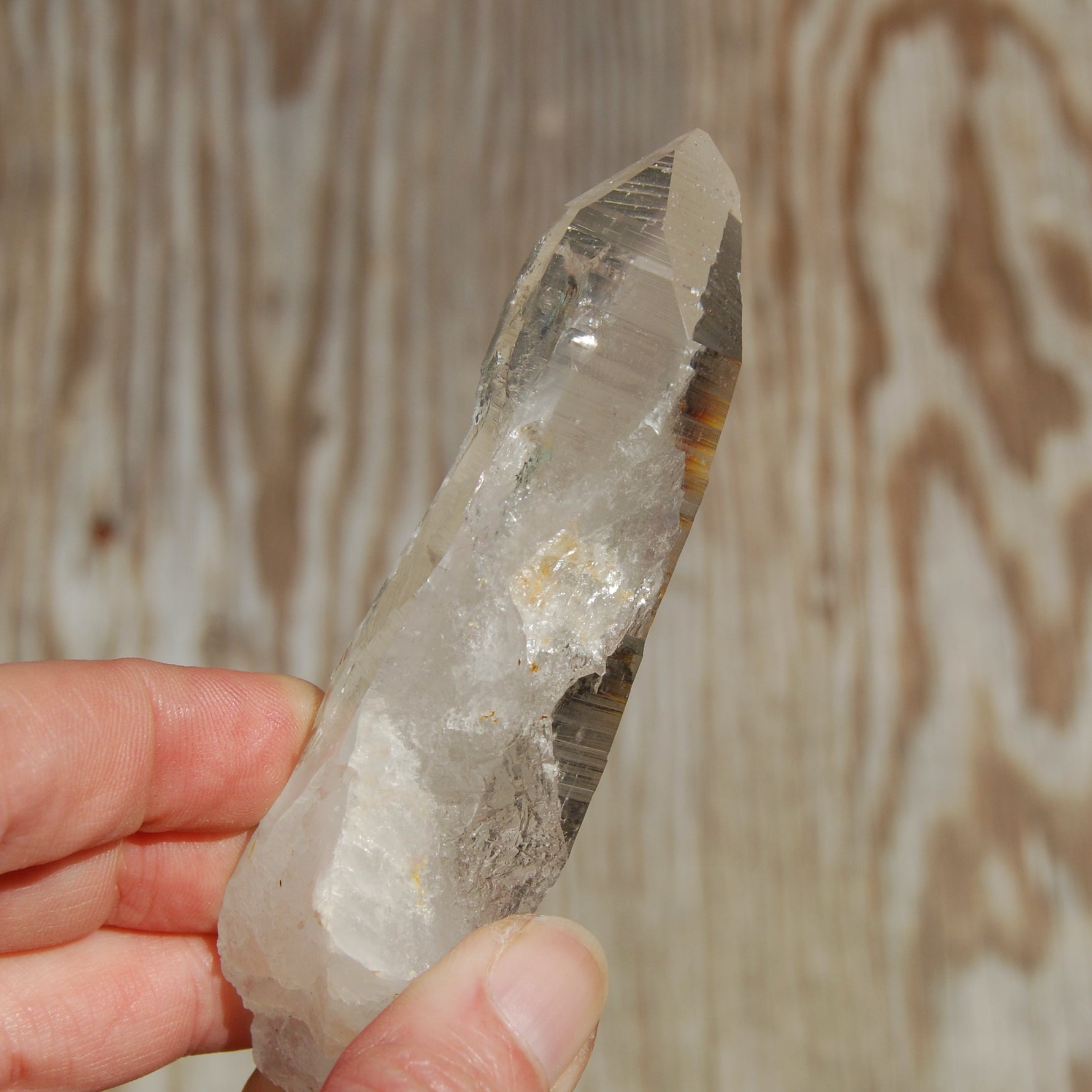 Colombian Lemurian Seed Quartz Crystal Laser