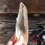 Citrine Golden Healer Lemurian Seed Quartz Crystal
