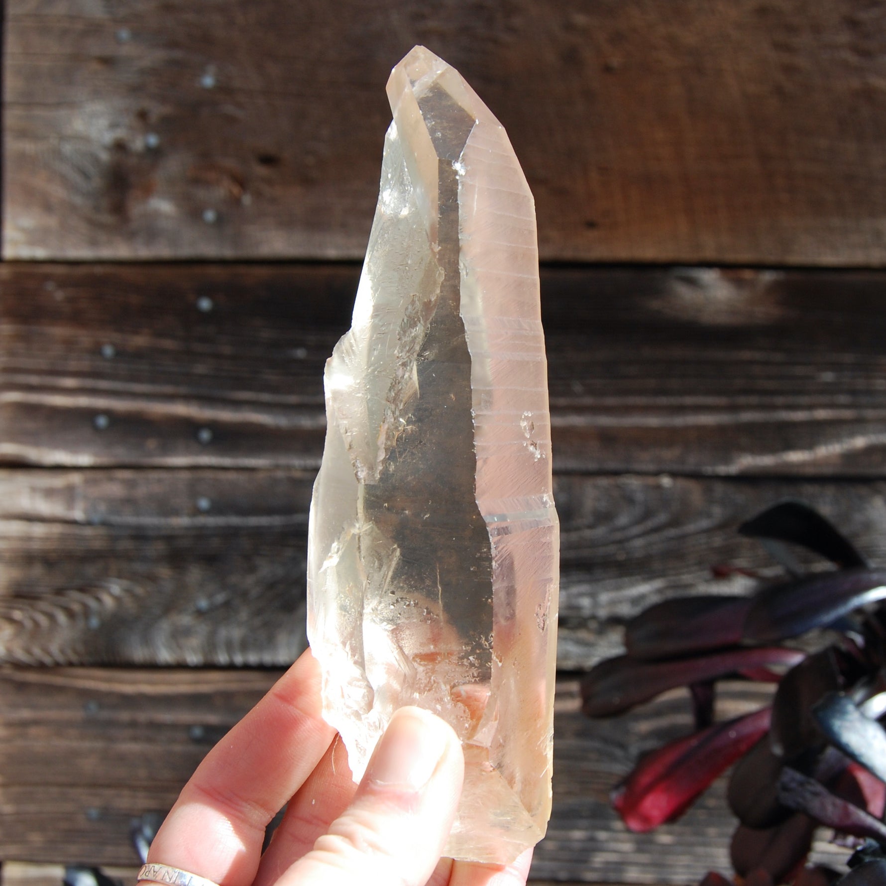 Citrine Golden Healer Lemurian Seed Quartz Crystal