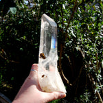 XL Blades of Light Colombian Lemurian Quartz Crystal