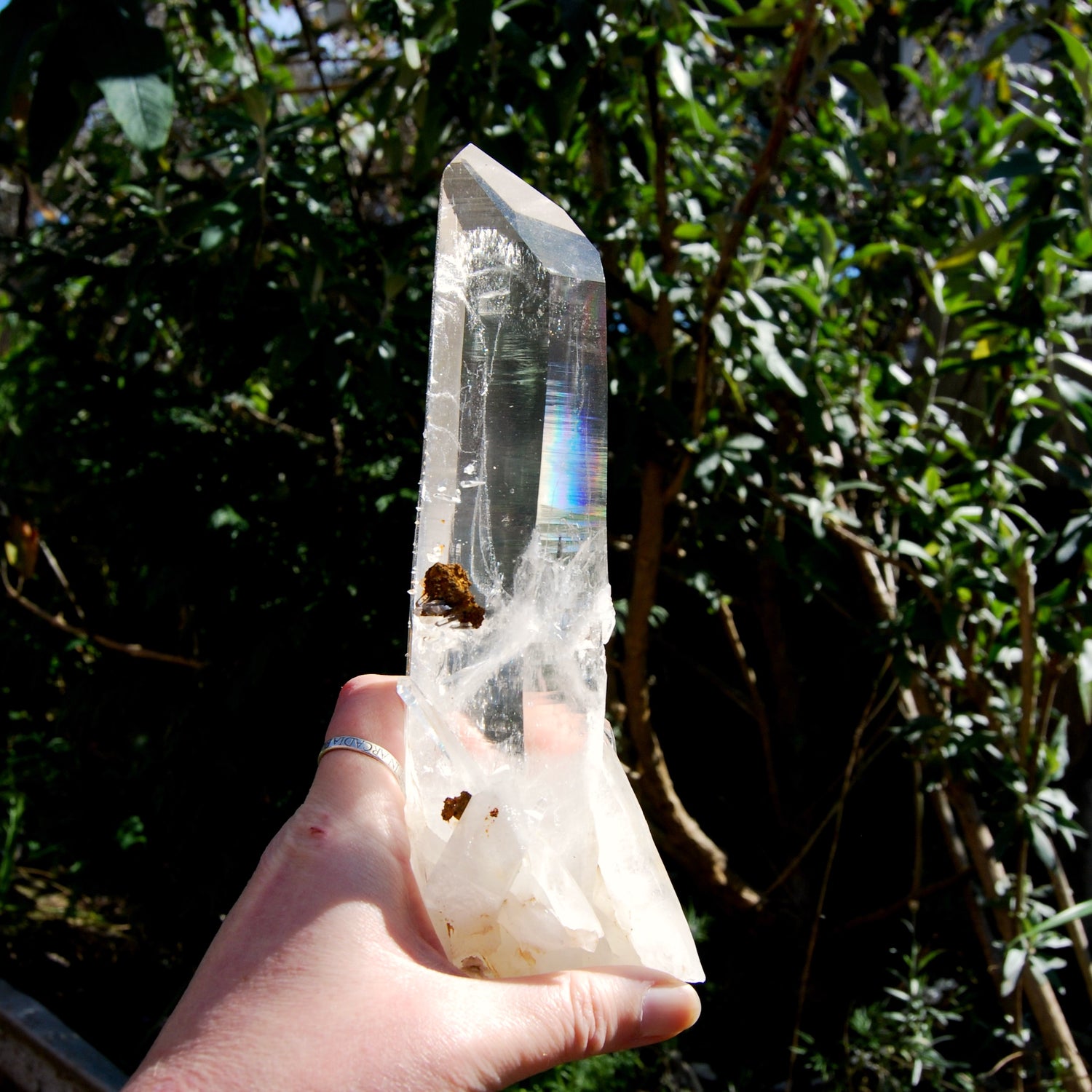XL Blades of Light Colombian Lemurian Quartz Crystal