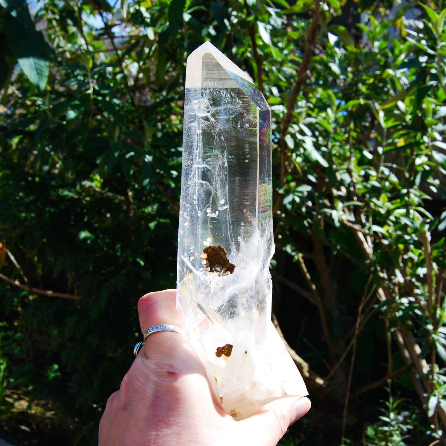 XL Blades of Light Colombian Lemurian Quartz Crystal