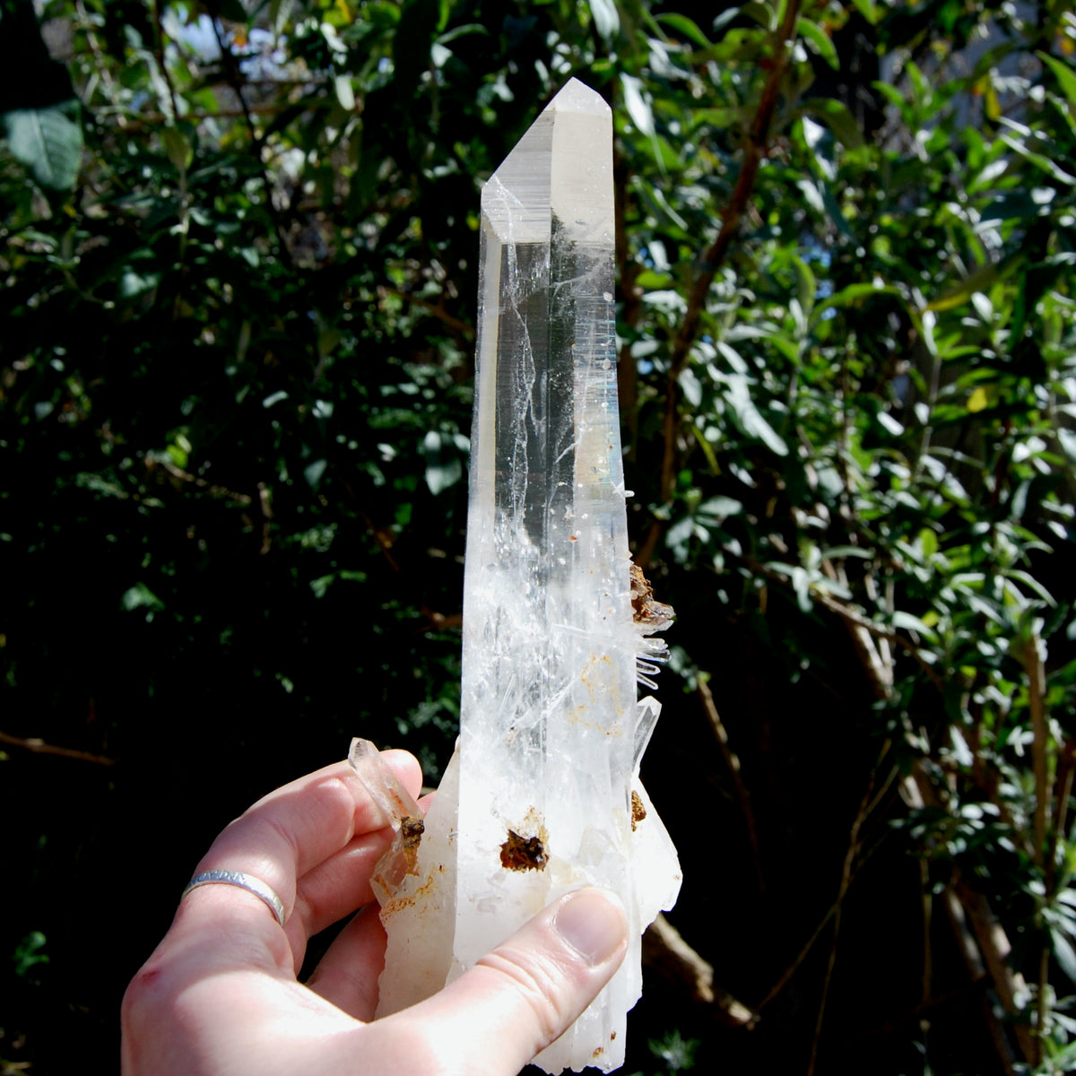 XL Blades of Light Colombian Lemurian Quartz Crystal
