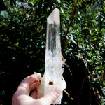 XL Blades of Light Colombian Lemurian Quartz Crystal