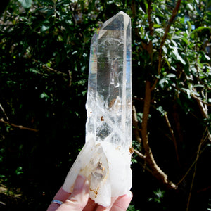 XL Blades of Light Colombian Lemurian Quartz Crystal