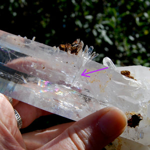 XL Blades of Light Colombian Lemurian Quartz Crystal
