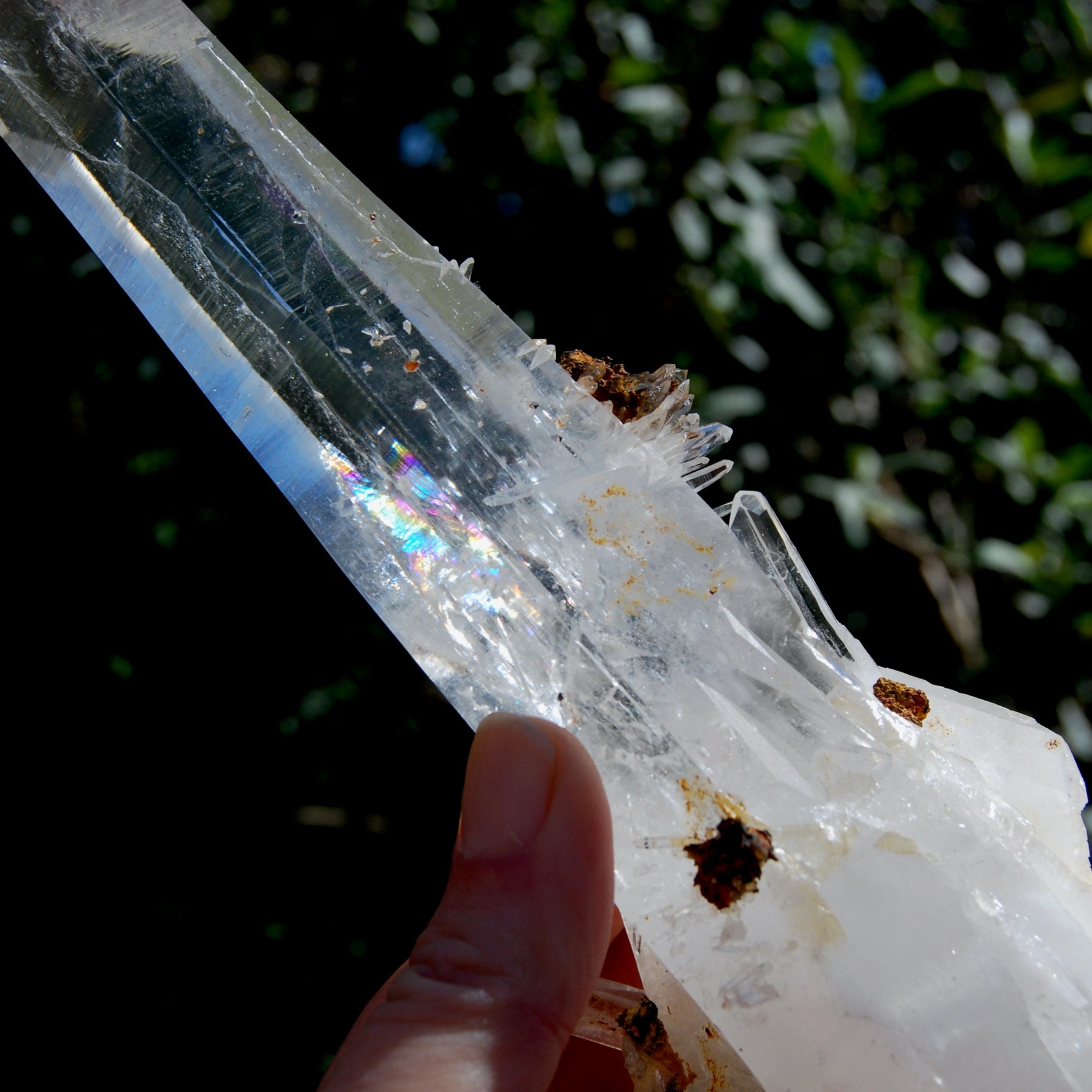 XL Blades of Light Colombian Lemurian Quartz Crystal