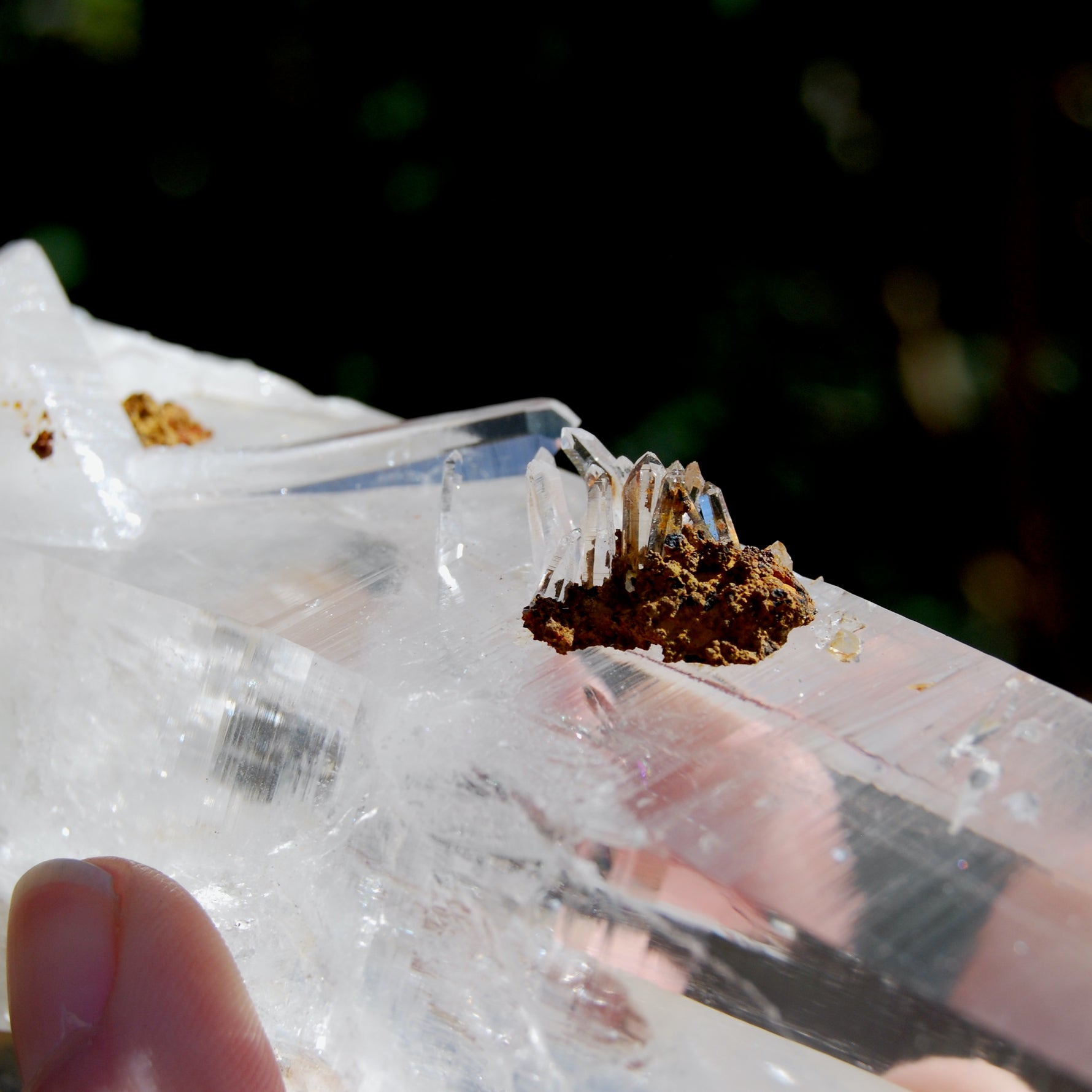 XL Blades of Light Colombian Lemurian Quartz Crystal