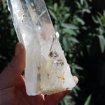 XL Blades of Light Colombian Lemurian Quartz Crystal