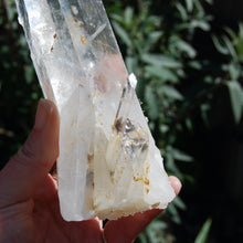 Load image into Gallery viewer, XL Blades of Light Colombian Lemurian Quartz Crystal
