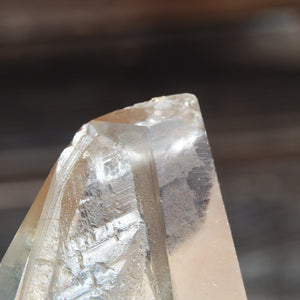 Citrine Golden Healer Lemurian Seed Quartz Crystal