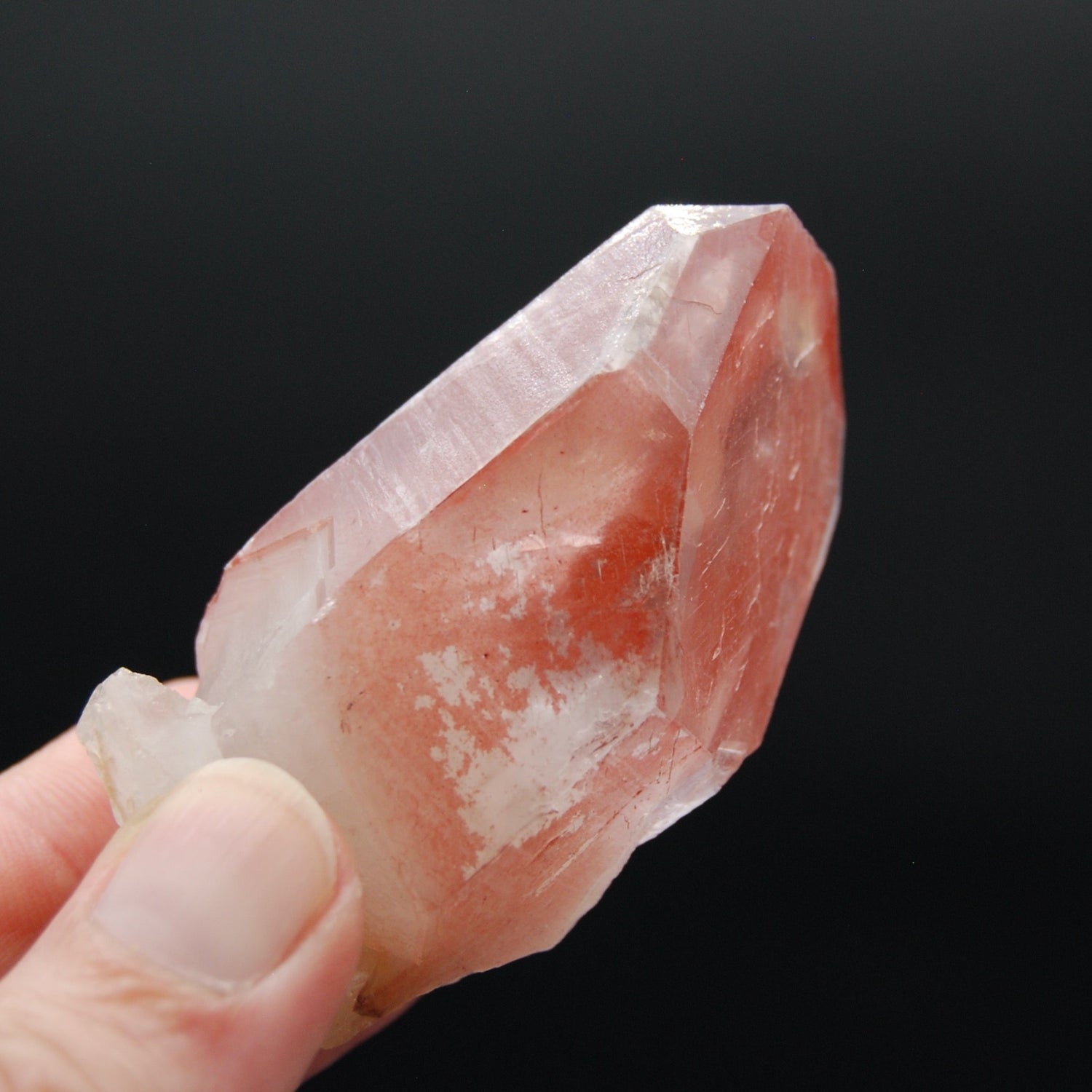 Strawberry Pink Lemurian Seed Quartz Crystal Starbrary