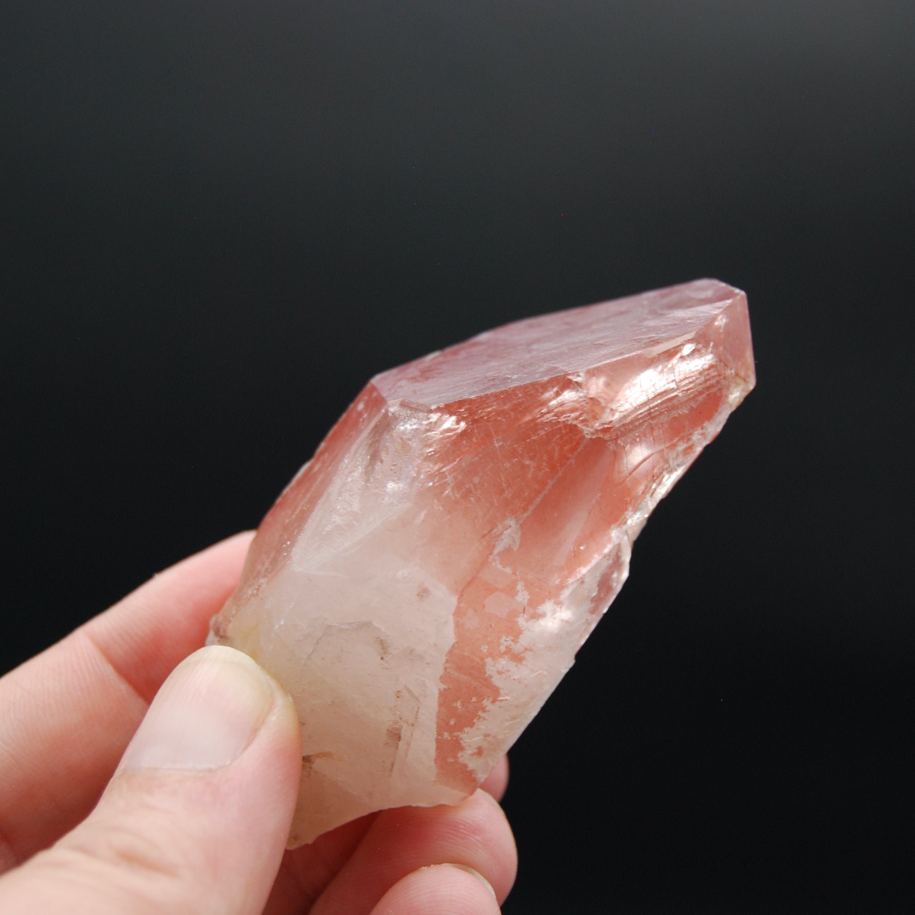 Strawberry Pink Lemurian Seed Quartz Crystal Starbrary