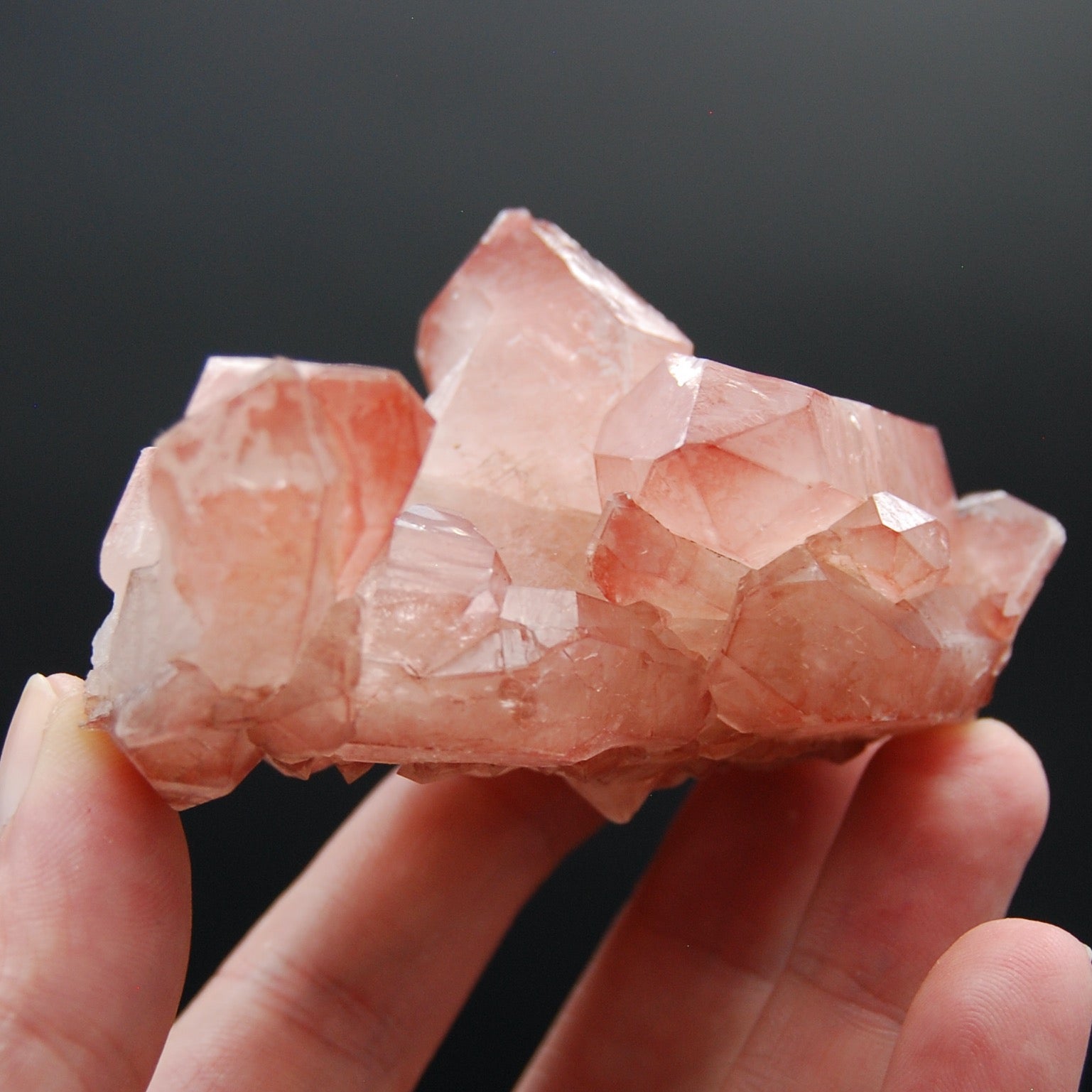 Strawberry Pink Lemurian Seed Quartz Crystal Cluster