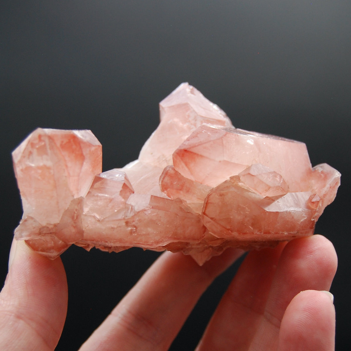 Strawberry Pink Lemurian Seed Quartz Crystal Cluster