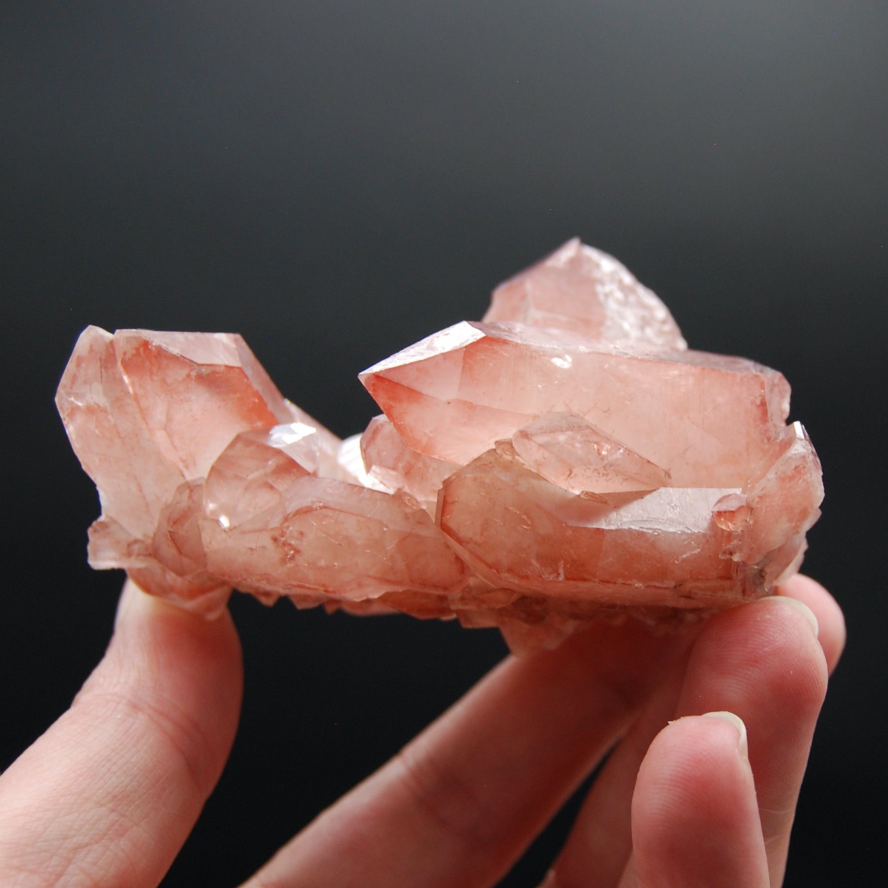 Strawberry Pink Lemurian Seed Quartz Crystal Cluster