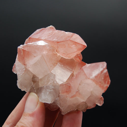 Strawberry Pink Lemurian Seed Quartz Crystal Cluster