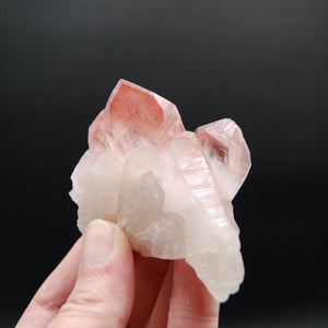 Strawberry Pink Lemurian Seed Quartz Crystal 