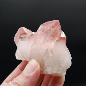 Strawberry Pink Lemurian Seed Quartz Crystal 