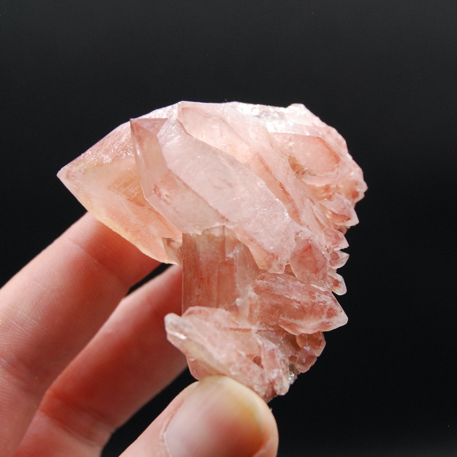 Strawberry Pink Lemurian Seed Quartz Crystal Cluster