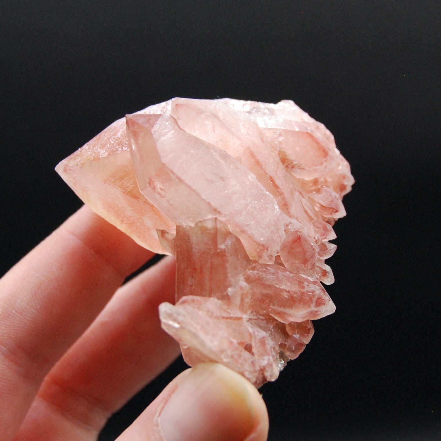 Strawberry Pink Lemurian Seed Quartz Crystal Cluster