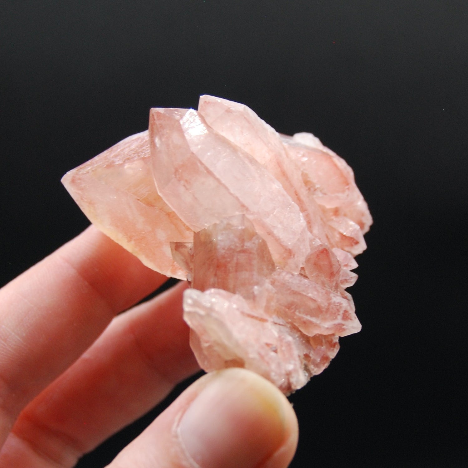Strawberry Pink Lemurian Seed Quartz Crystal Cluster