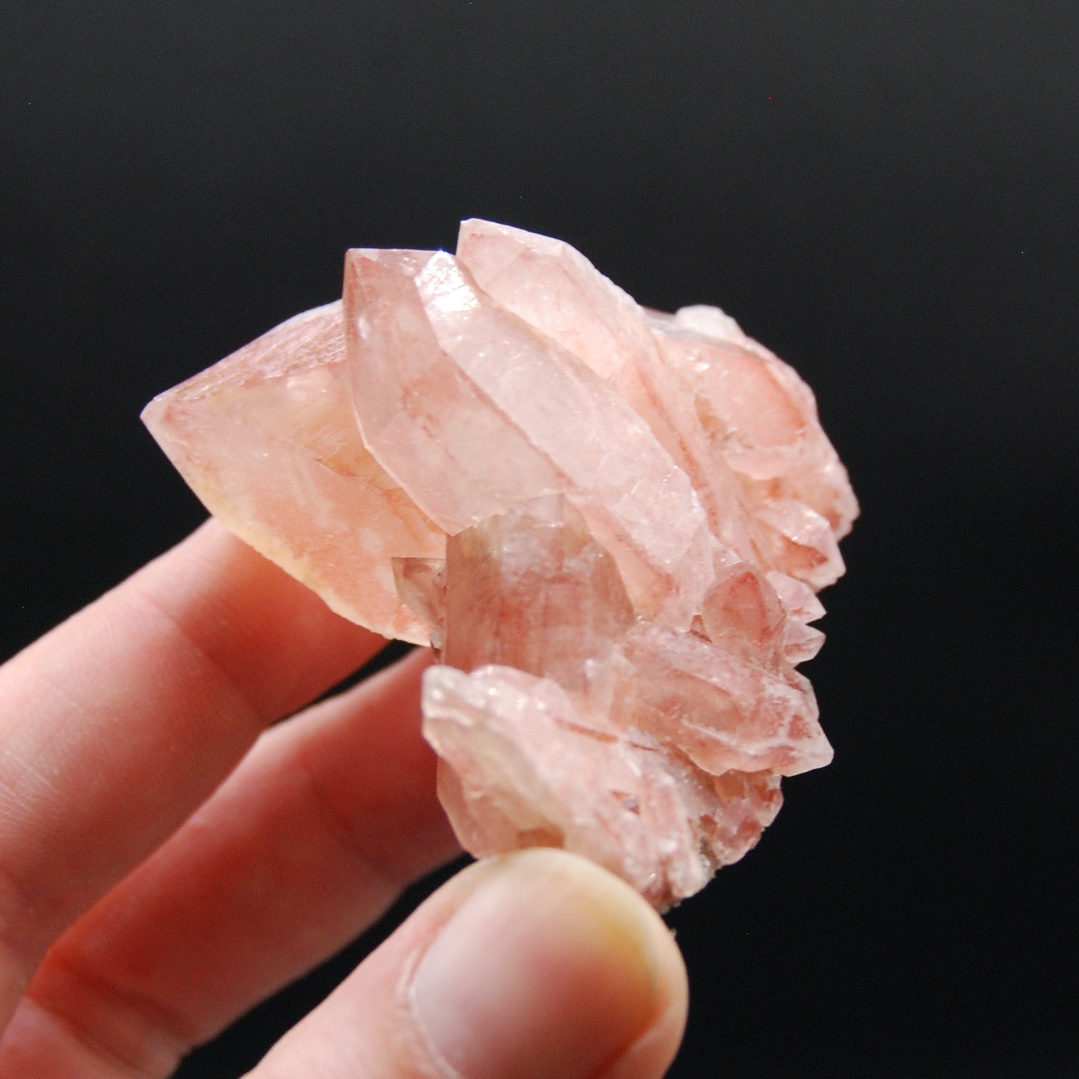 Strawberry Pink Lemurian Seed Quartz Crystal Cluster