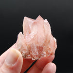 Strawberry Pink Lemurian Seed Quartz Crystal Cluster